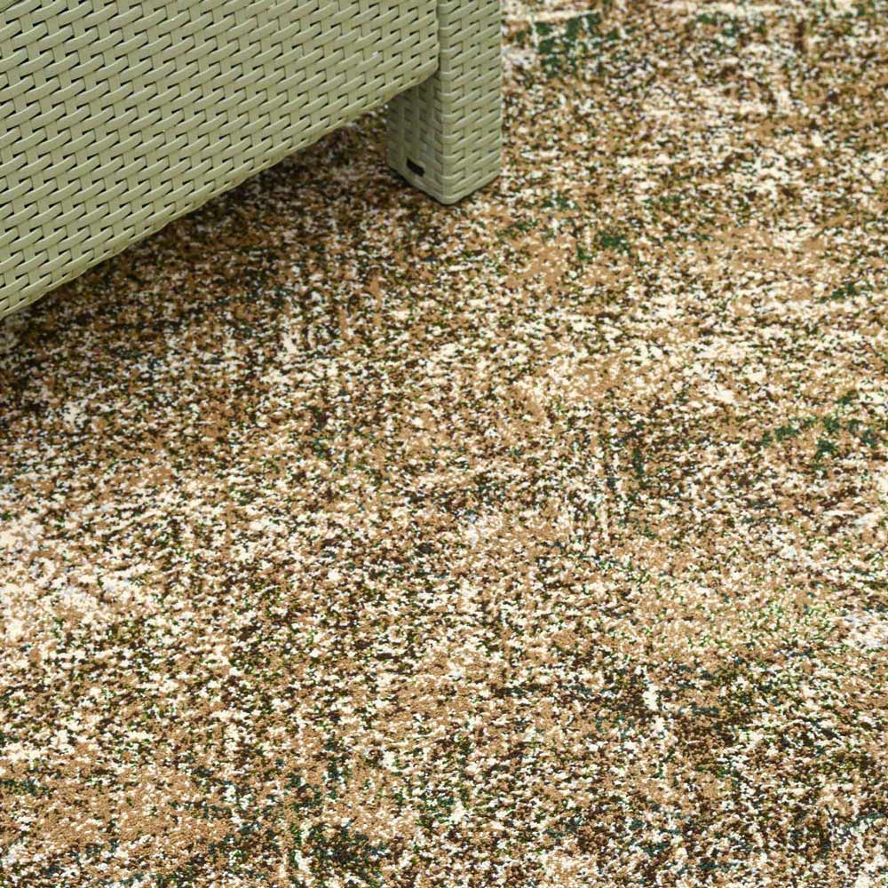 تصویر آلبوم فرش کات 1