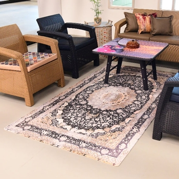Patterned Fancy Rug