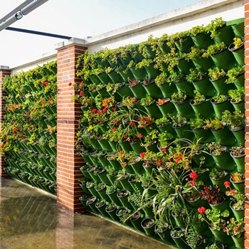 Green Wall