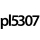 pl5307
