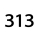 313