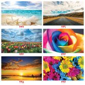 قالیچه فانتزی اکونومی طرح طبیعت و گل (7)